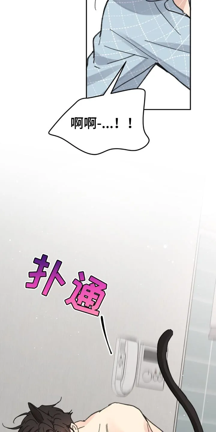 第169章：【番外】小猫 第17页