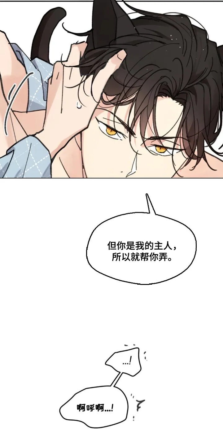 第169章：【番外】小猫 第21页