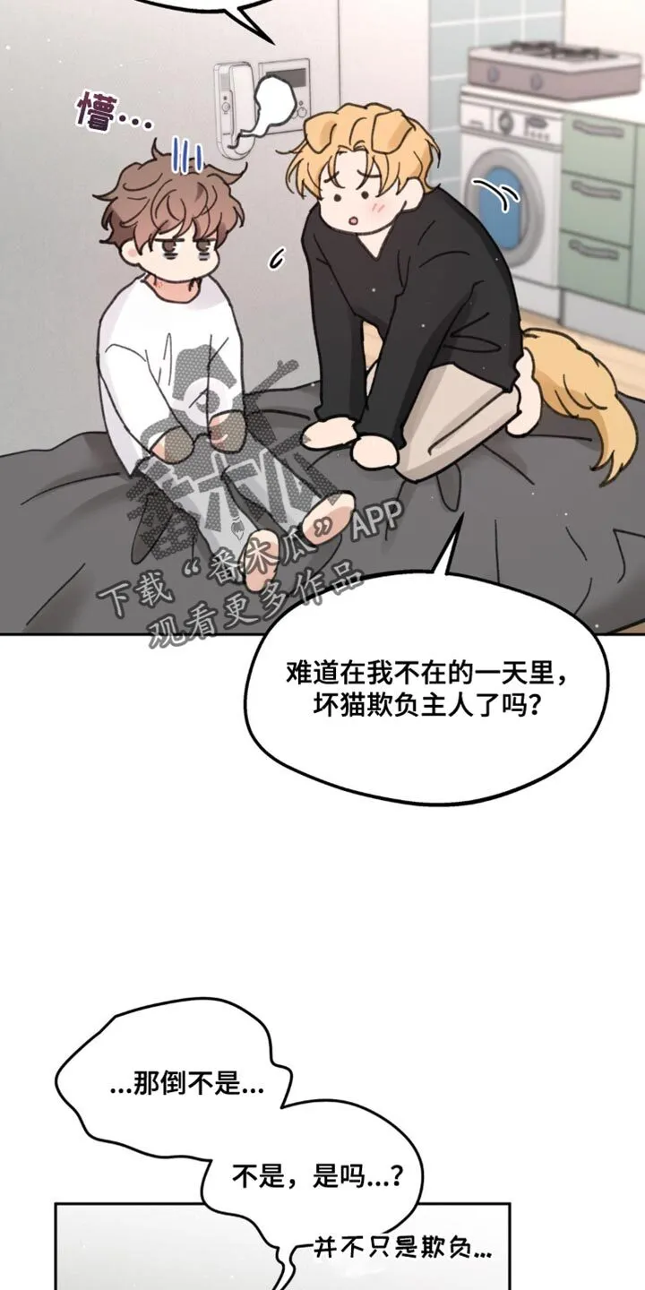 第170章：【番外】小狗 第7页