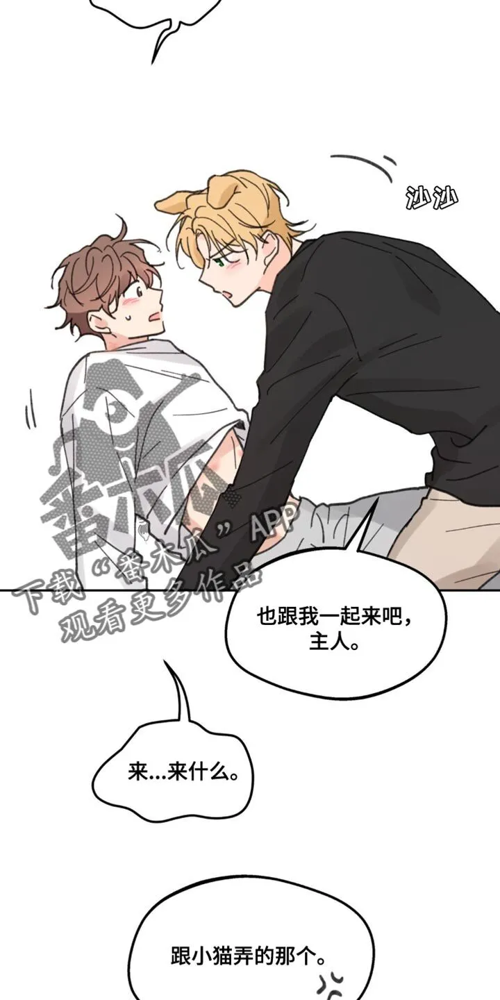 第170章：【番外】小狗 第11页
