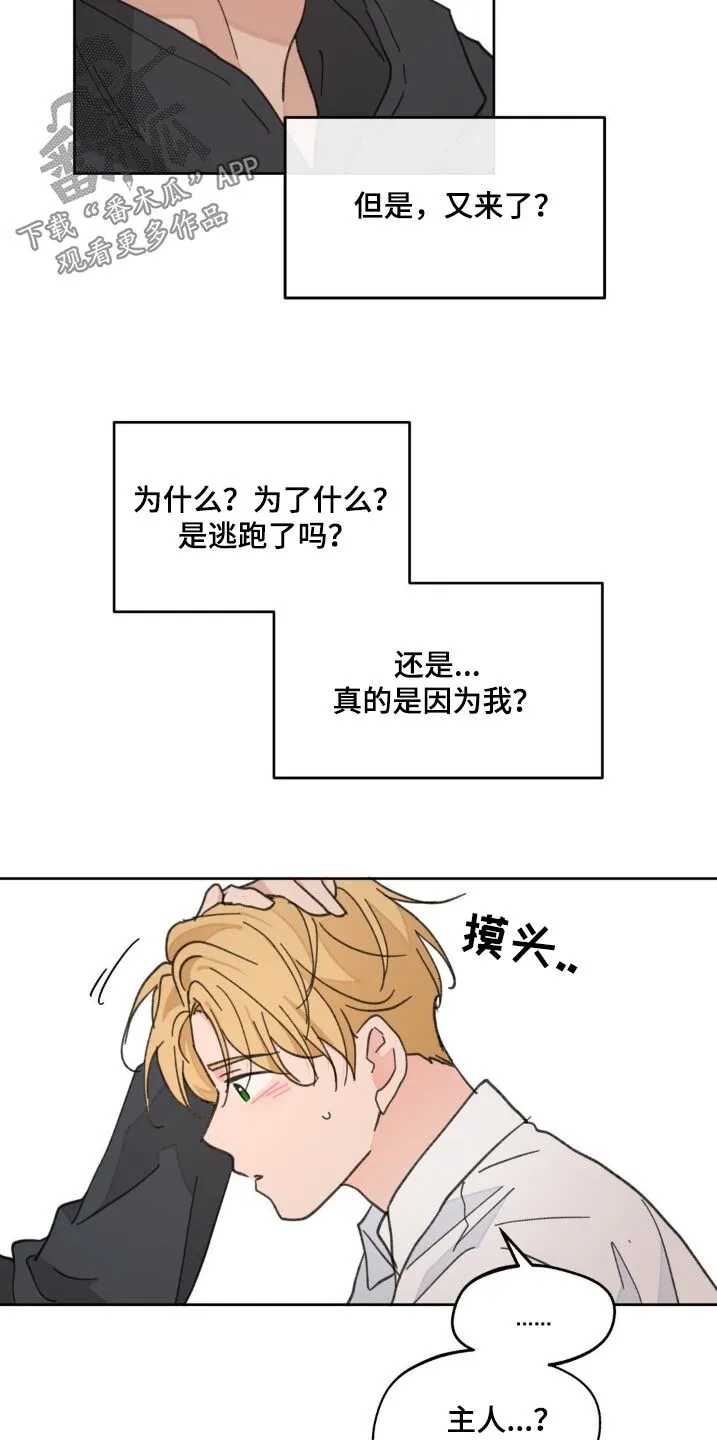 第176章：【番外】算什么 第15页