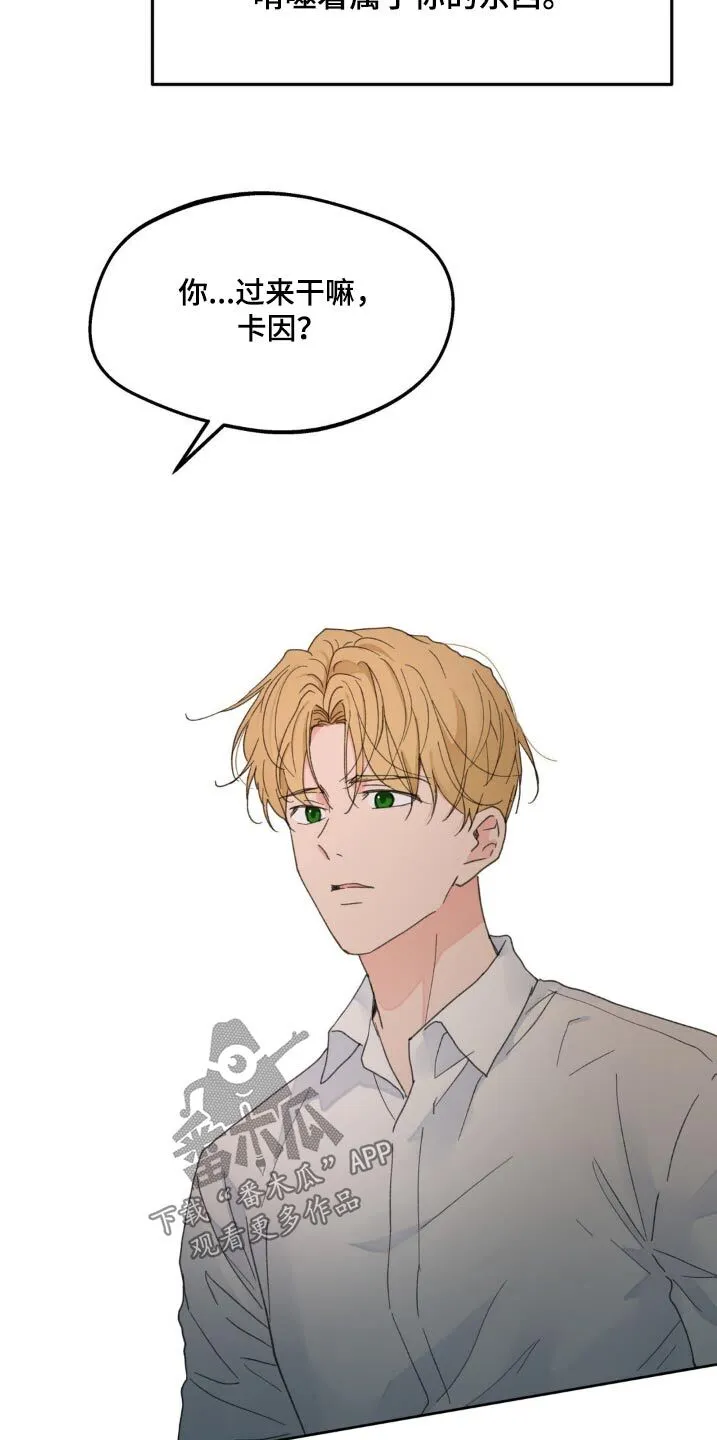 第176章：【番外】算什么 第20页
