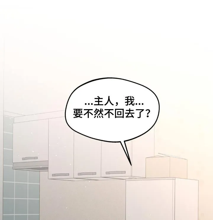 第177章：【番外】你要去哪里 第16页