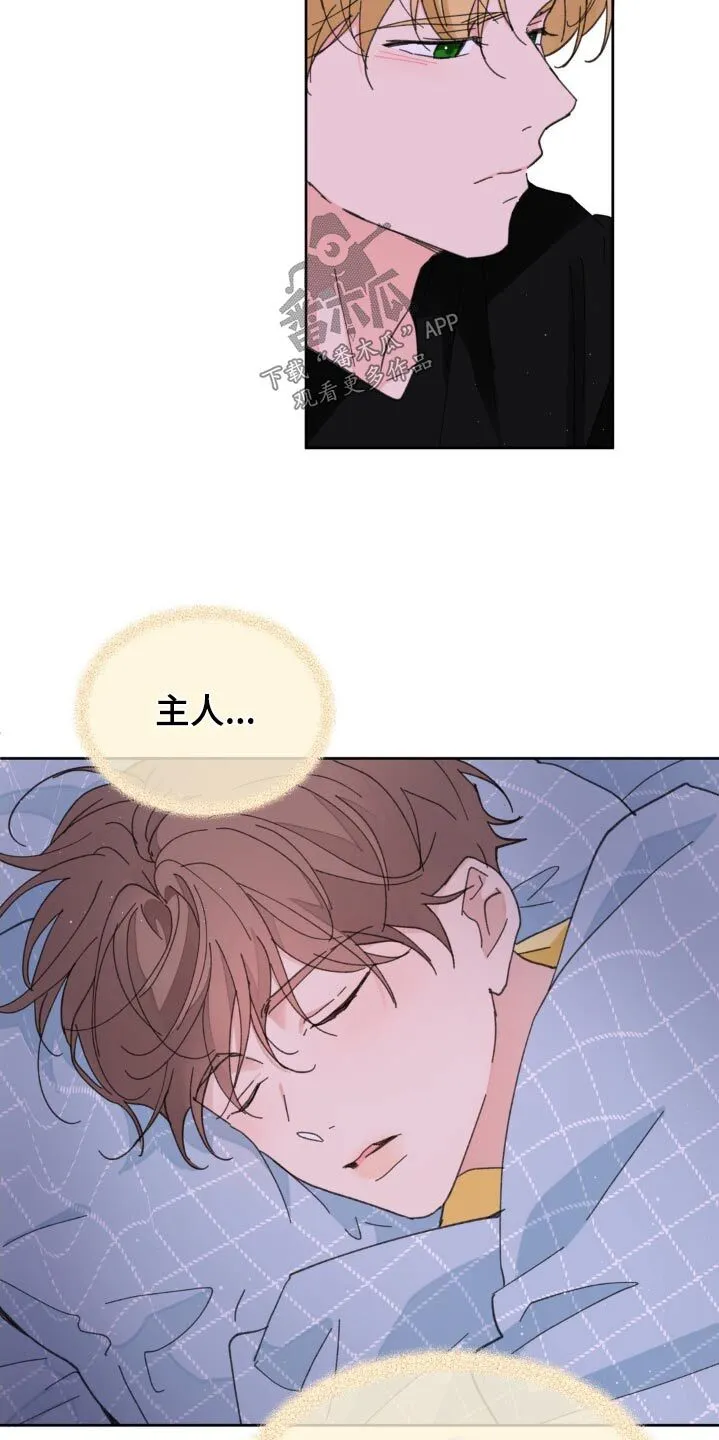 第177章：【番外】你要去哪里 第21页