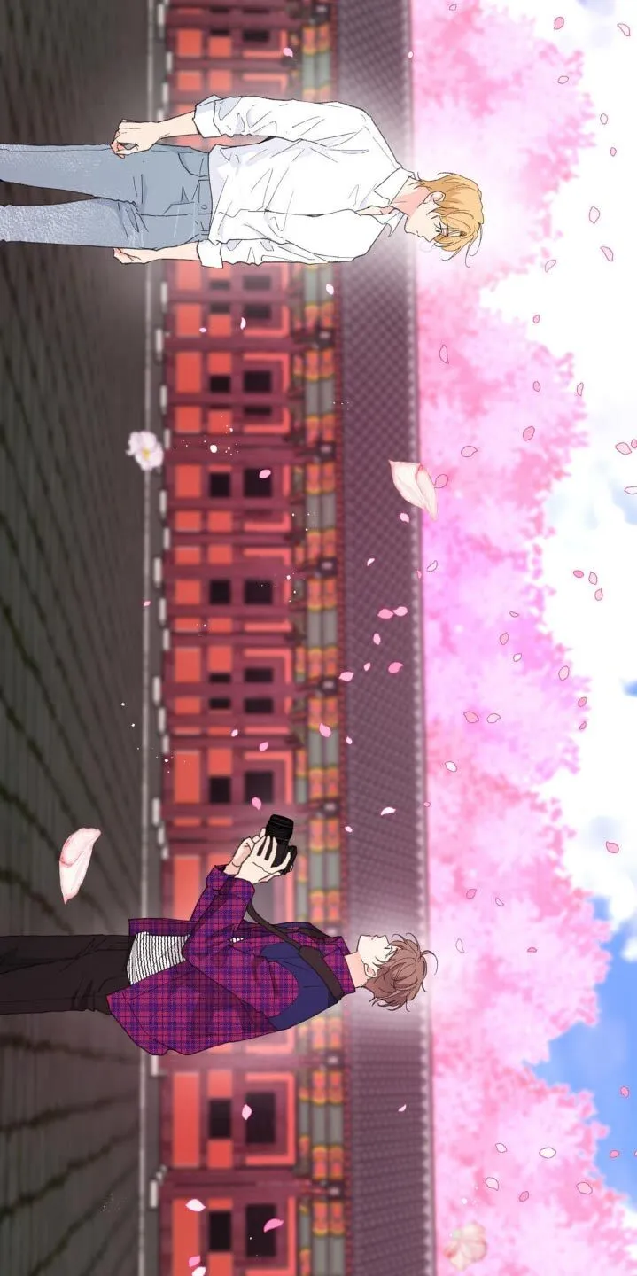 第180章：【番外】因为你 第17页