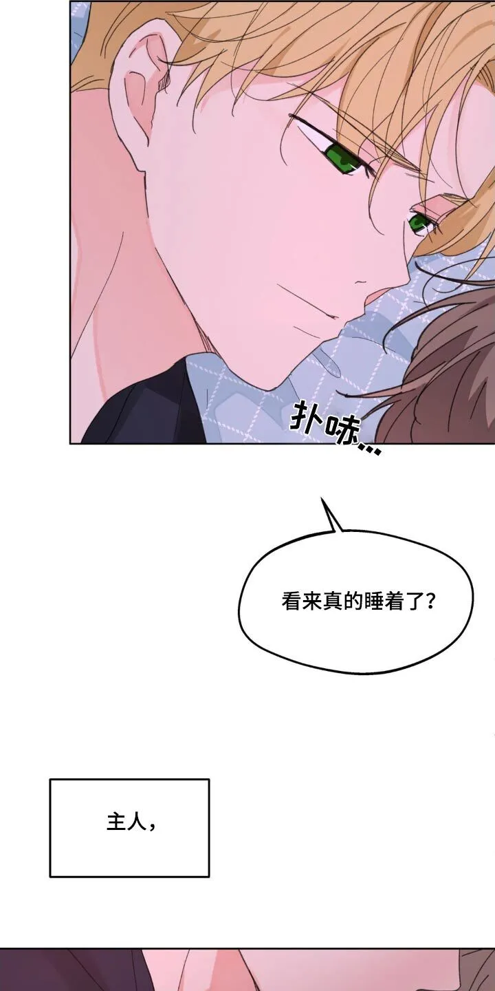 第185章：【番外】主人睡了嘛 第25页