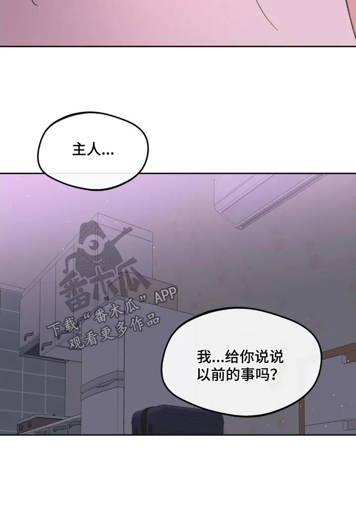 第185章：【番外】主人睡了嘛 第28页