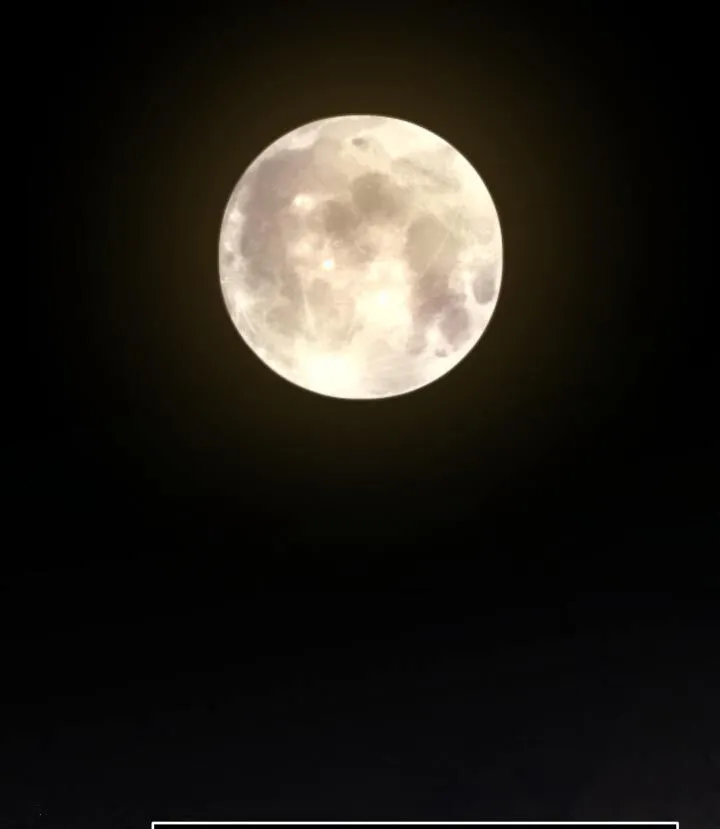 第185章：【番外】主人睡了嘛 第30页