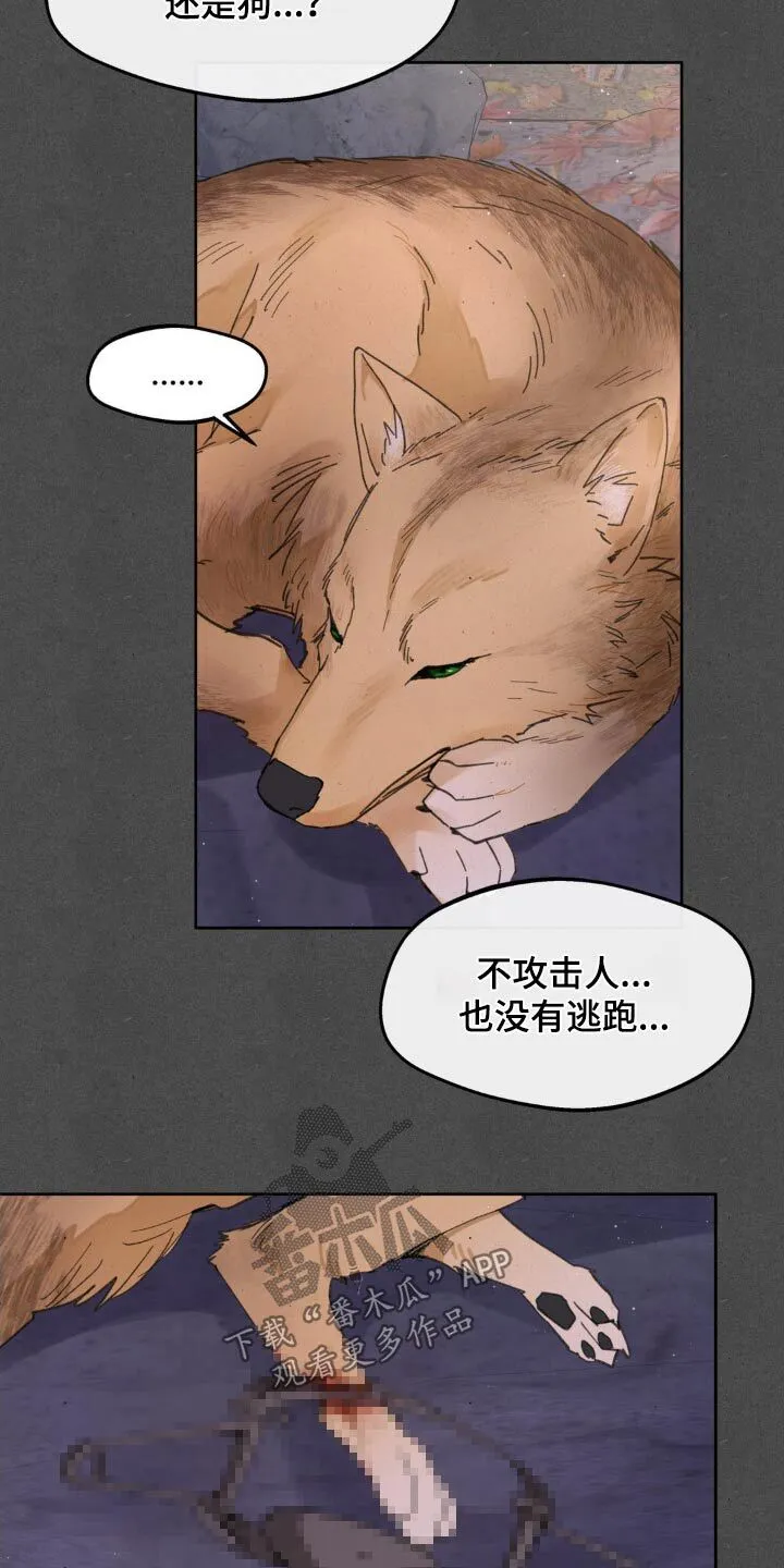 第186章：【番外】救治 第5页