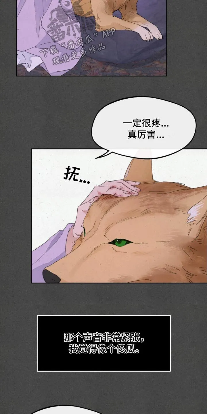 第186章：【番外】救治 第12页