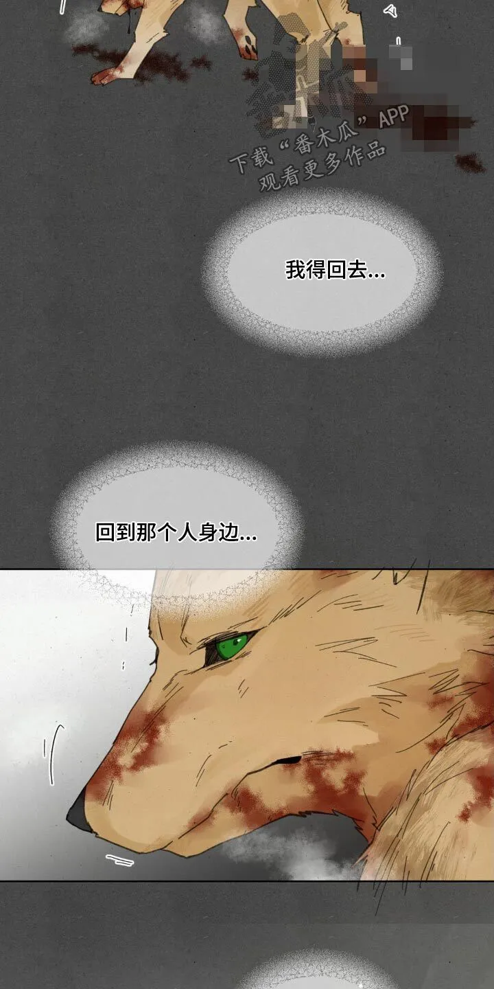 第188章：【番外】快起来 第17页