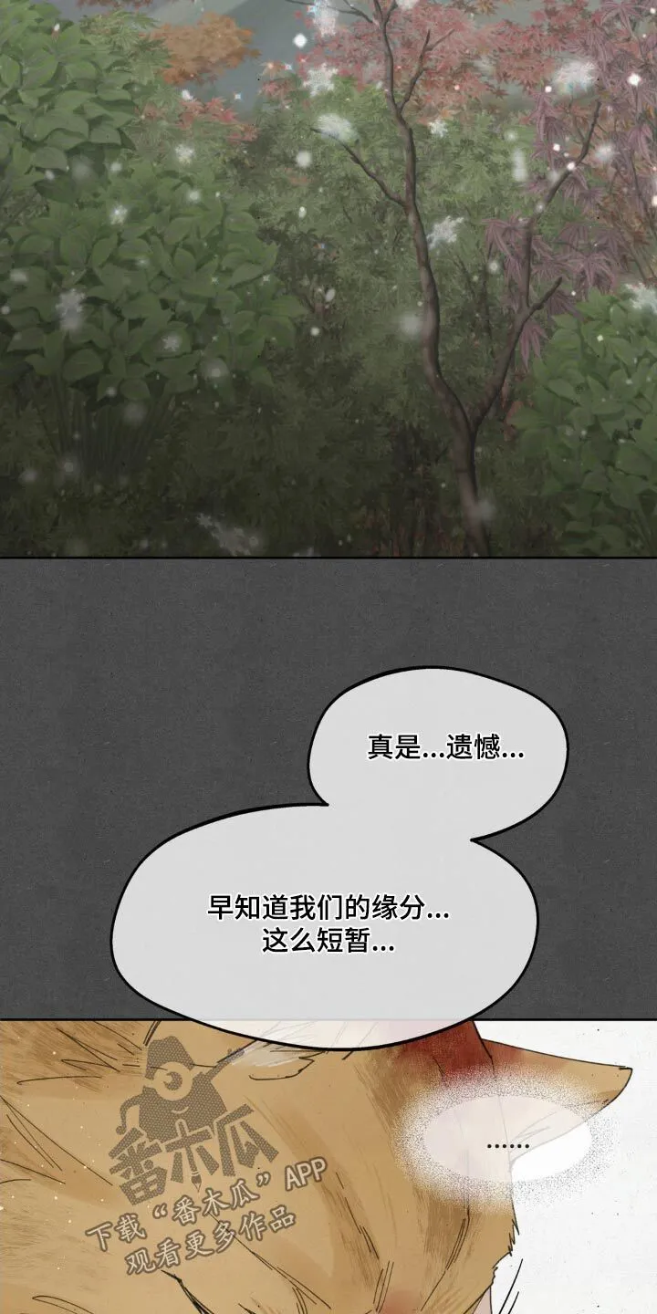 第188章：【番外】快起来 第28页
