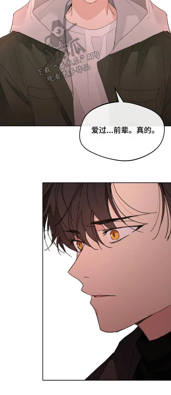 第191章：【番外】爱过 第28页
