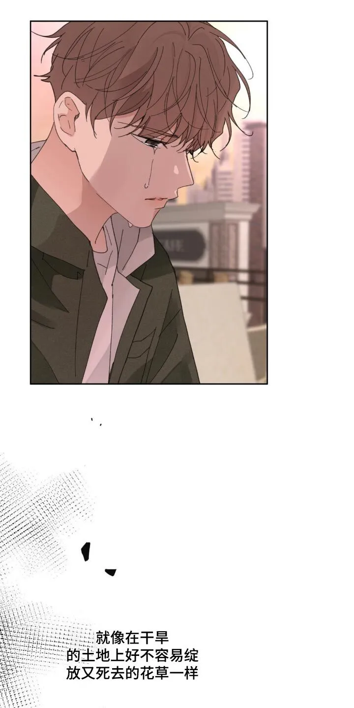第192章：【番外】尽力了 第17页