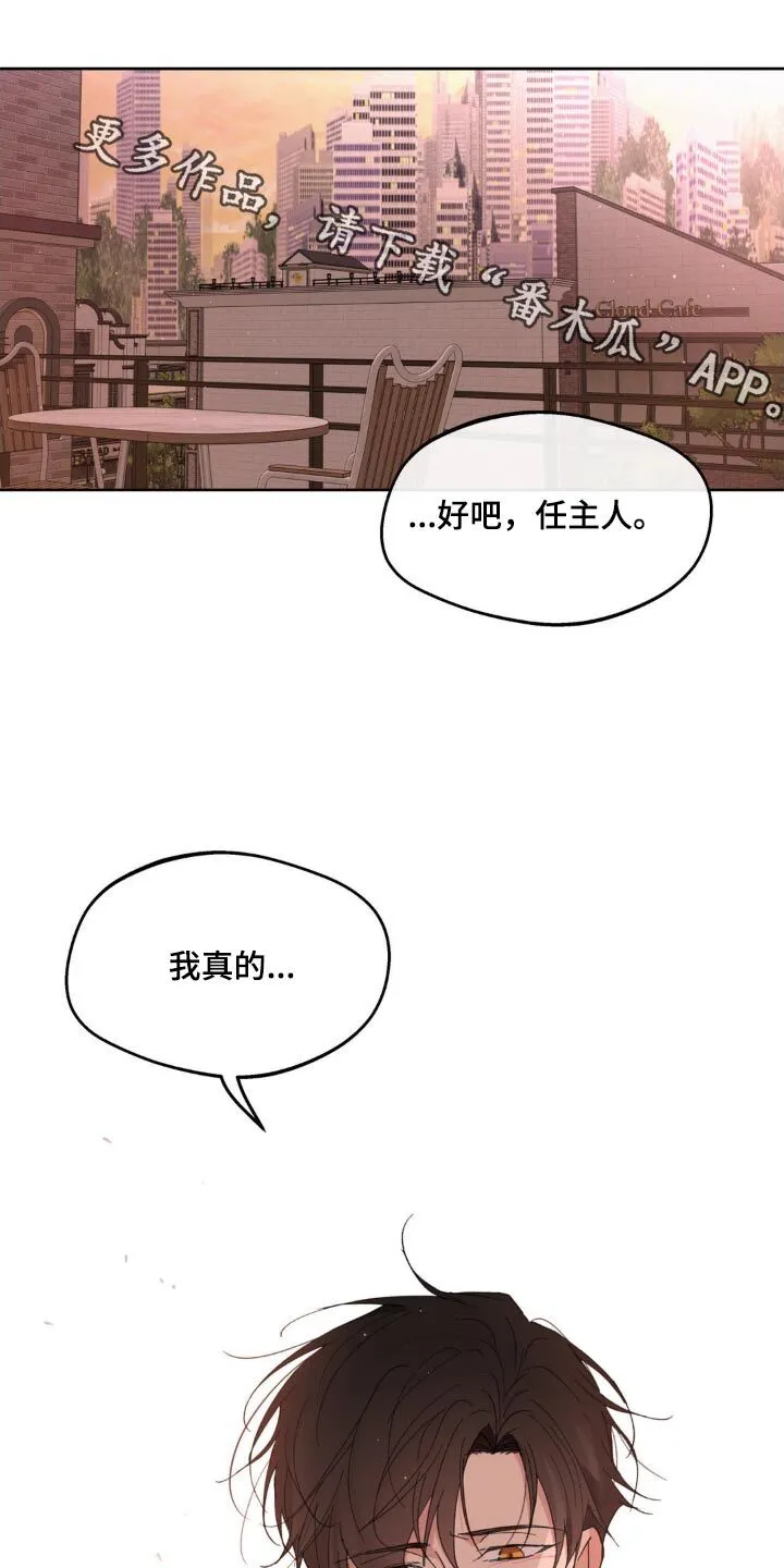 第193章：【番外】不许哭 第1页