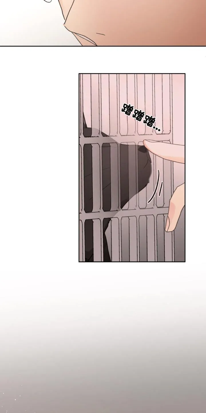 第195章：【番外】照顾 第23页