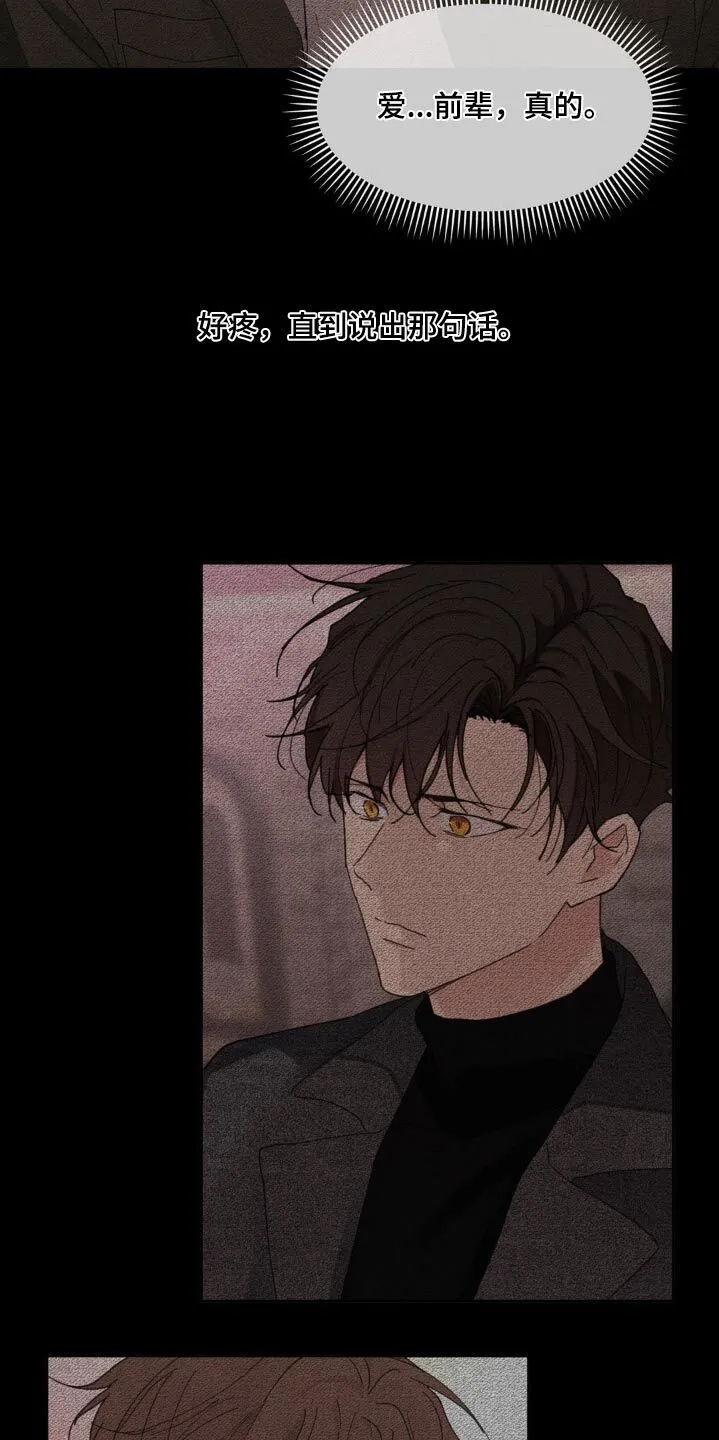 第196章：【番外】胆小无知 第4页