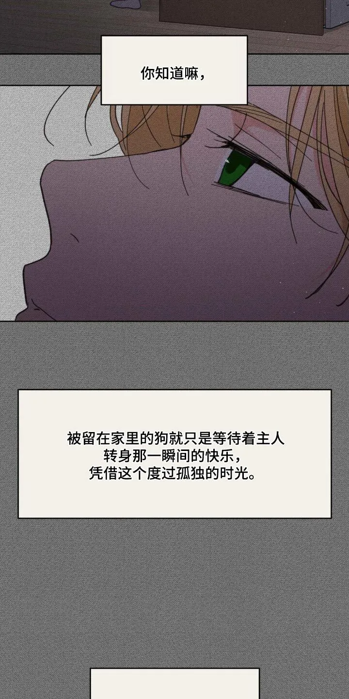第197章：【番外】决定离开 第16页