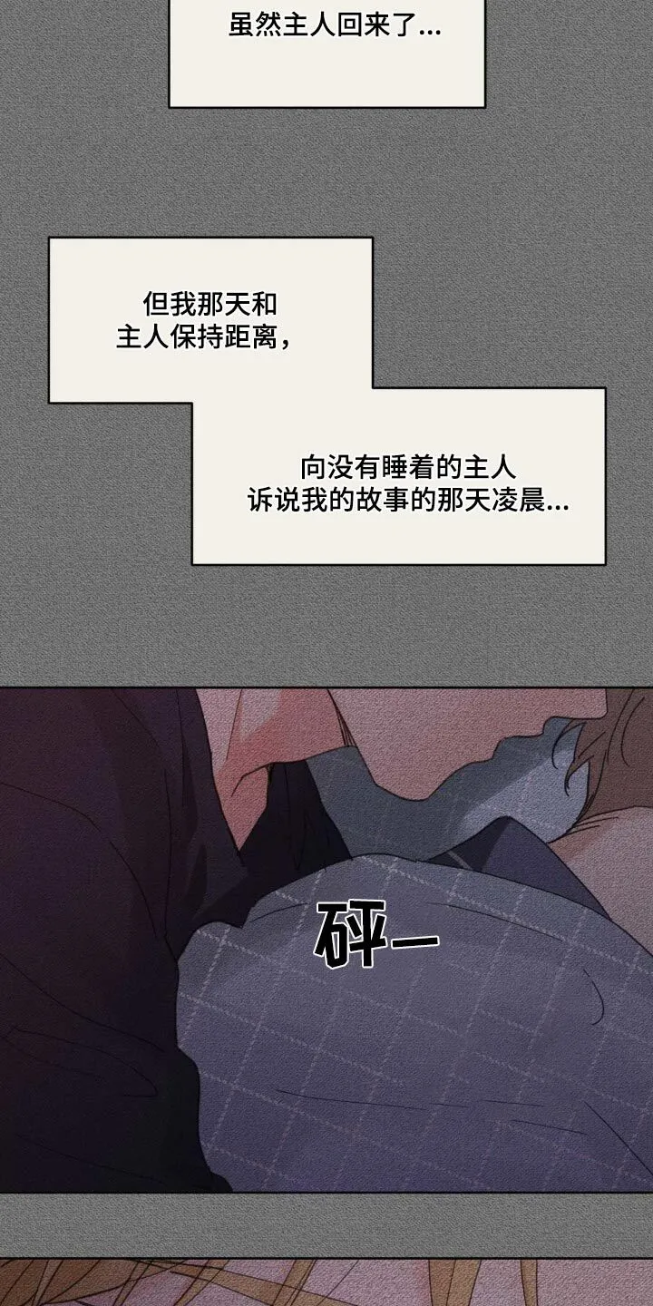 第197章：【番外】决定离开 第17页