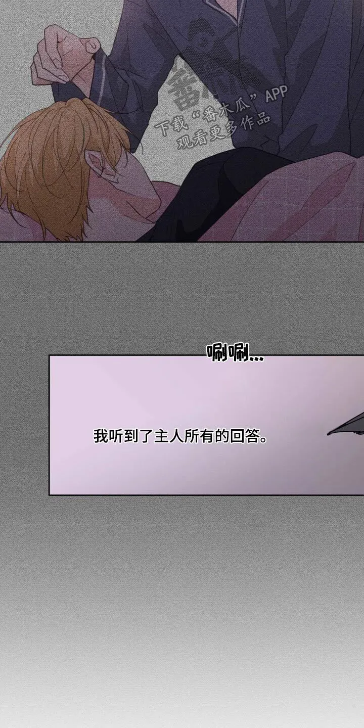 第197章：【番外】决定离开 第19页