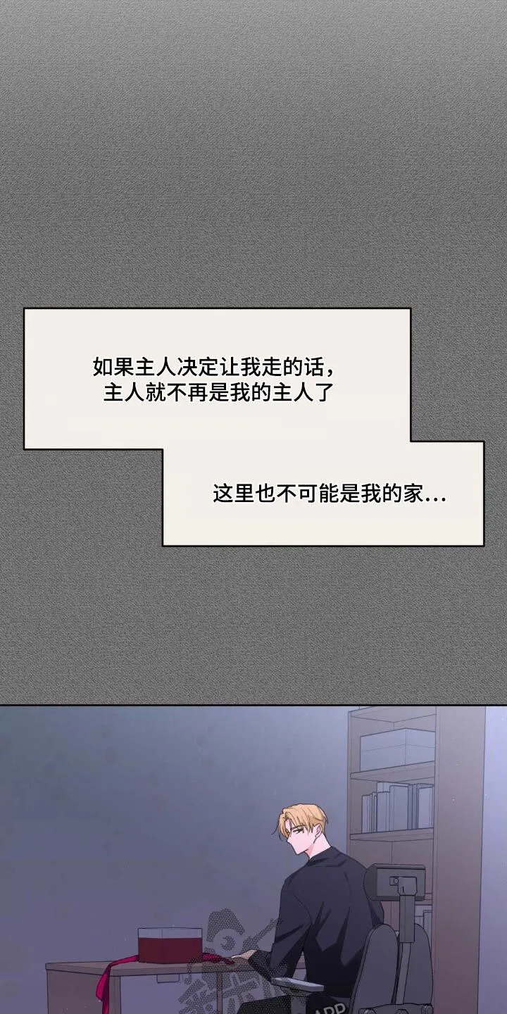 第197章：【番外】决定离开 第22页