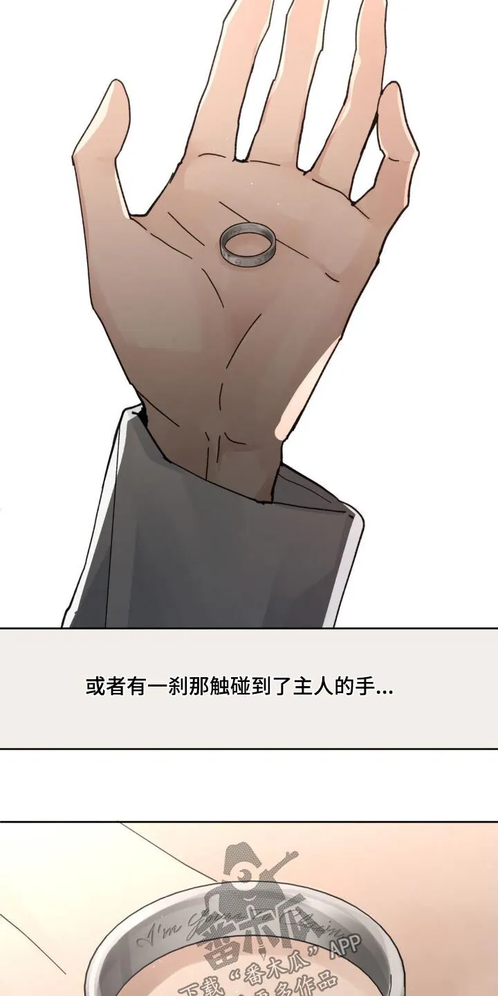 第198章：【番外】我来等你 第14页