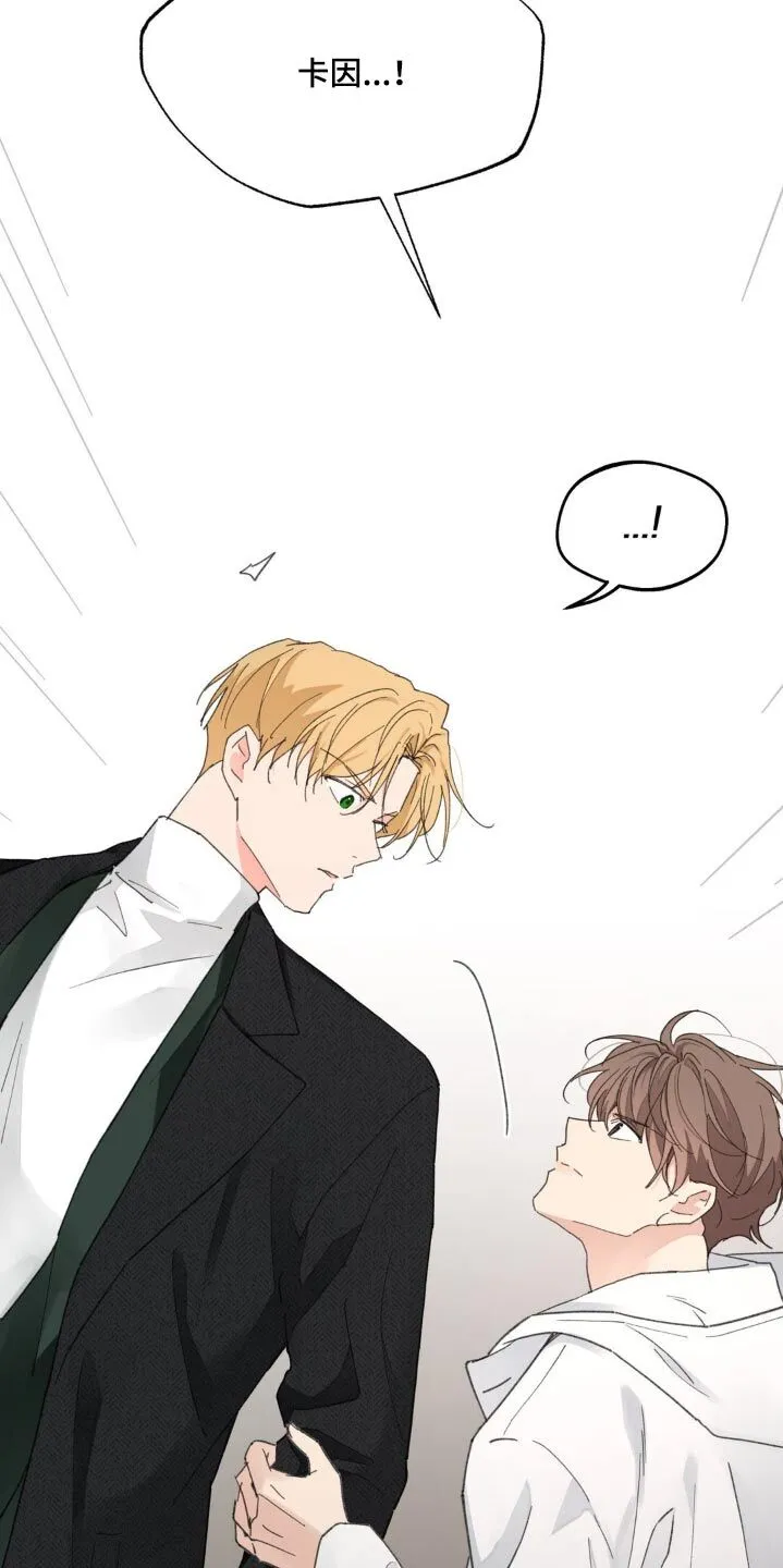第199章：【番外】心软 第3页