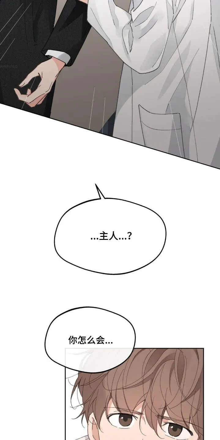 第199章：【番外】心软 第4页