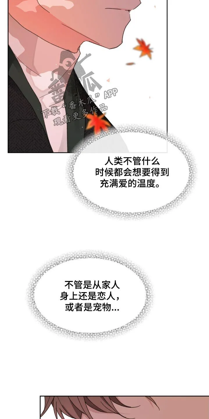 第200章：【番外】要珍惜 第15页