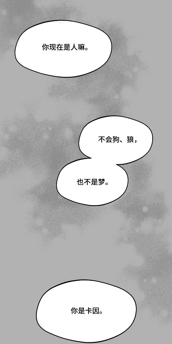 第202章：【番外】温柔的人 第6页