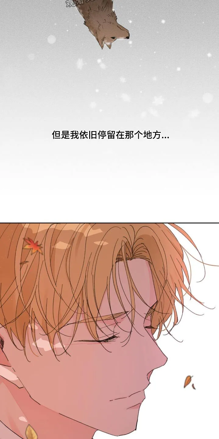 第202章：【番外】温柔的人 第18页