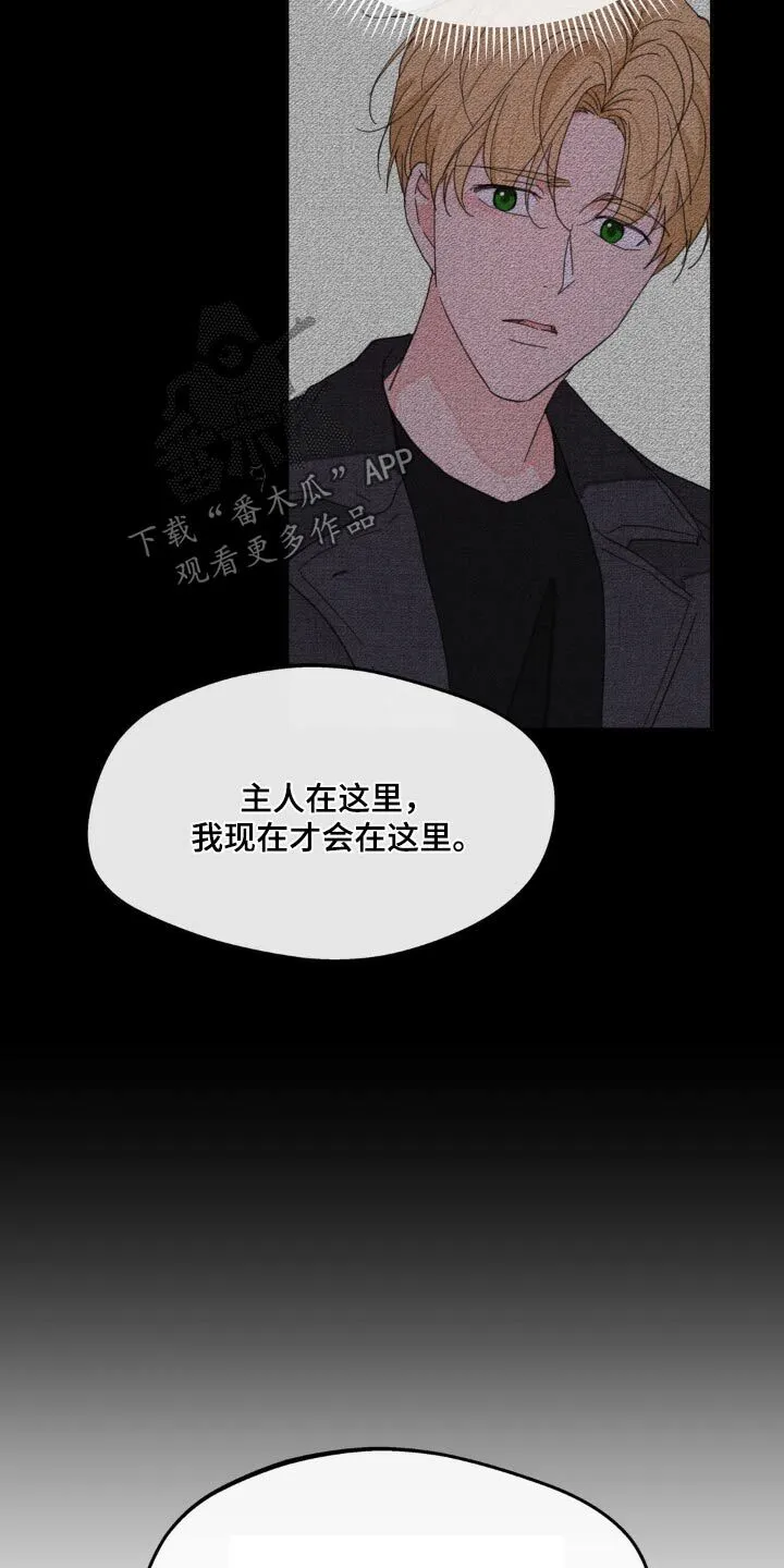 第203章：【番外】戒指 第15页