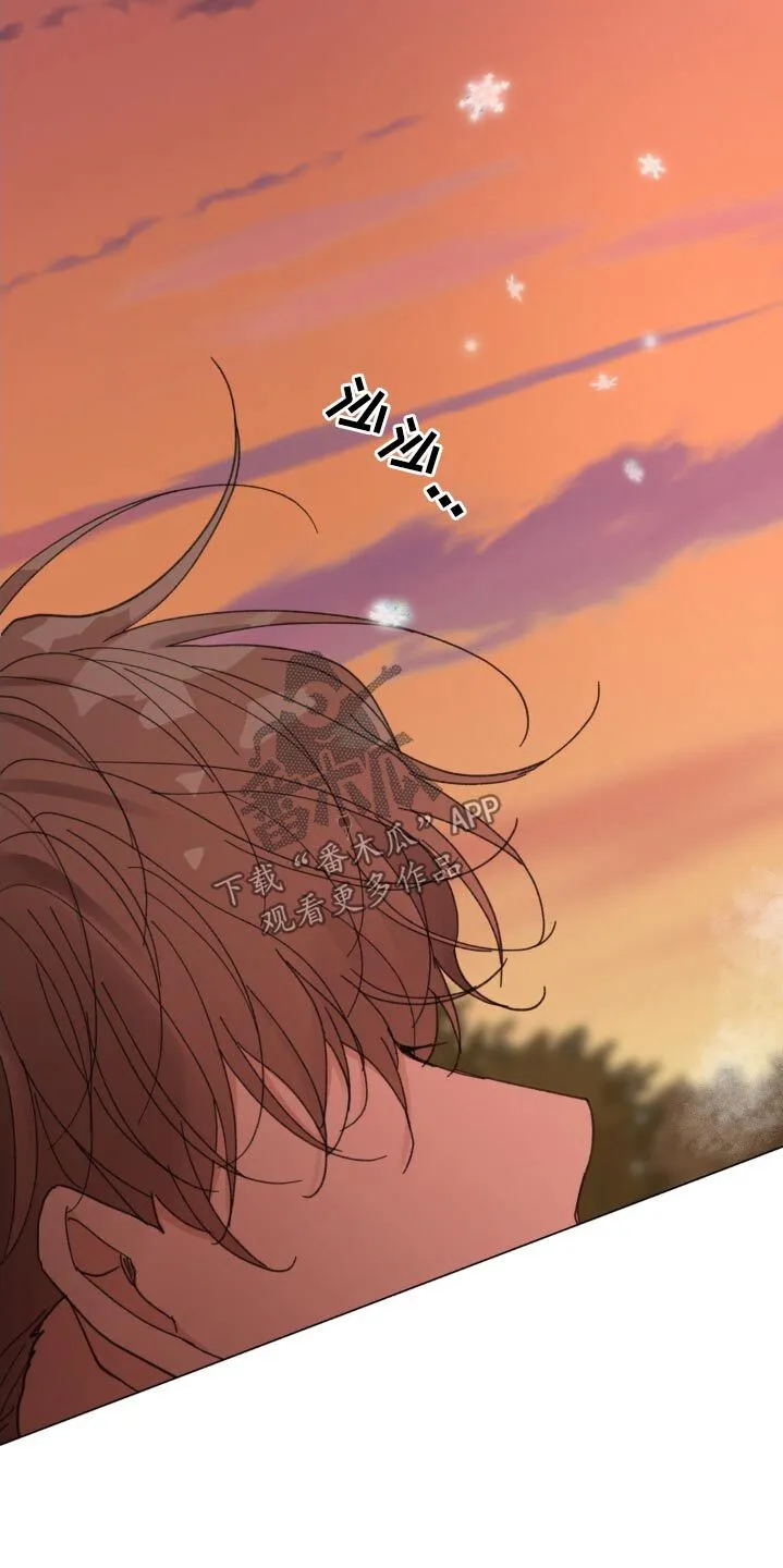 第203章：【番外】戒指 第24页