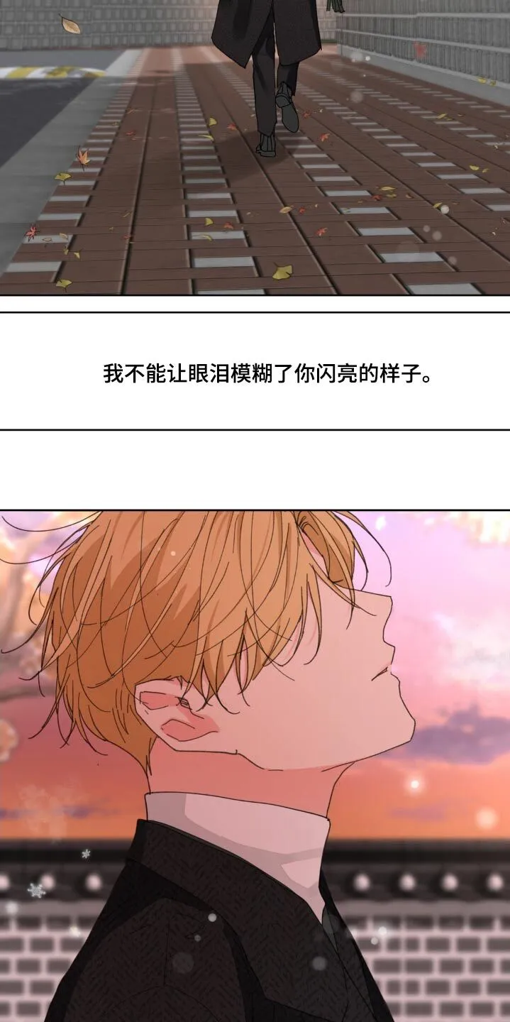 第204章：【番外】谢谢你 第17页
