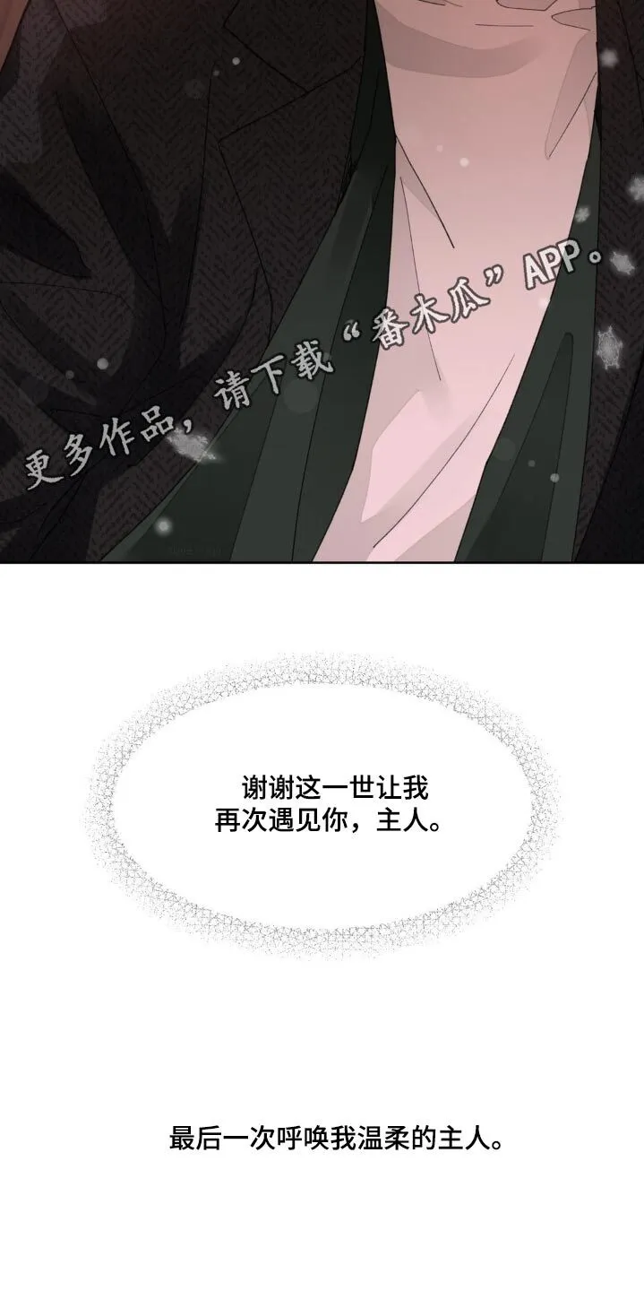 第204章：【番外】谢谢你 第26页