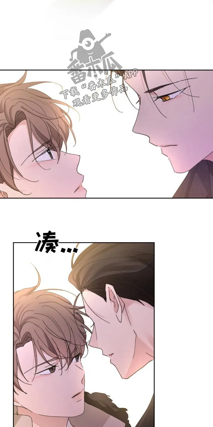 第211章：【番外】真的爱你 第12页