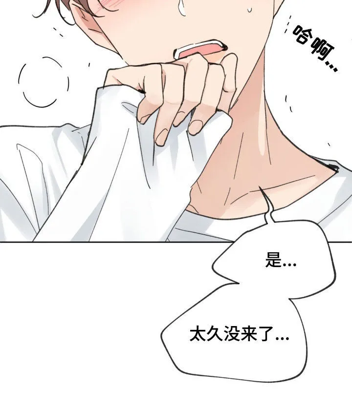 第212章：【番外】真的疯了 第13页