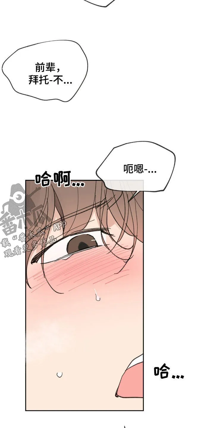 第212章：【番外】真的疯了 第15页