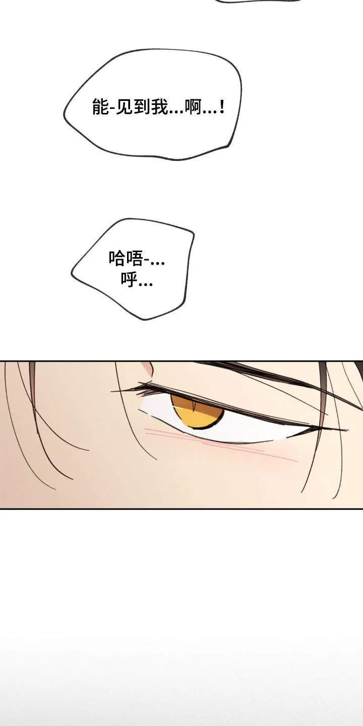 第212章：【番外】真的疯了 第22页