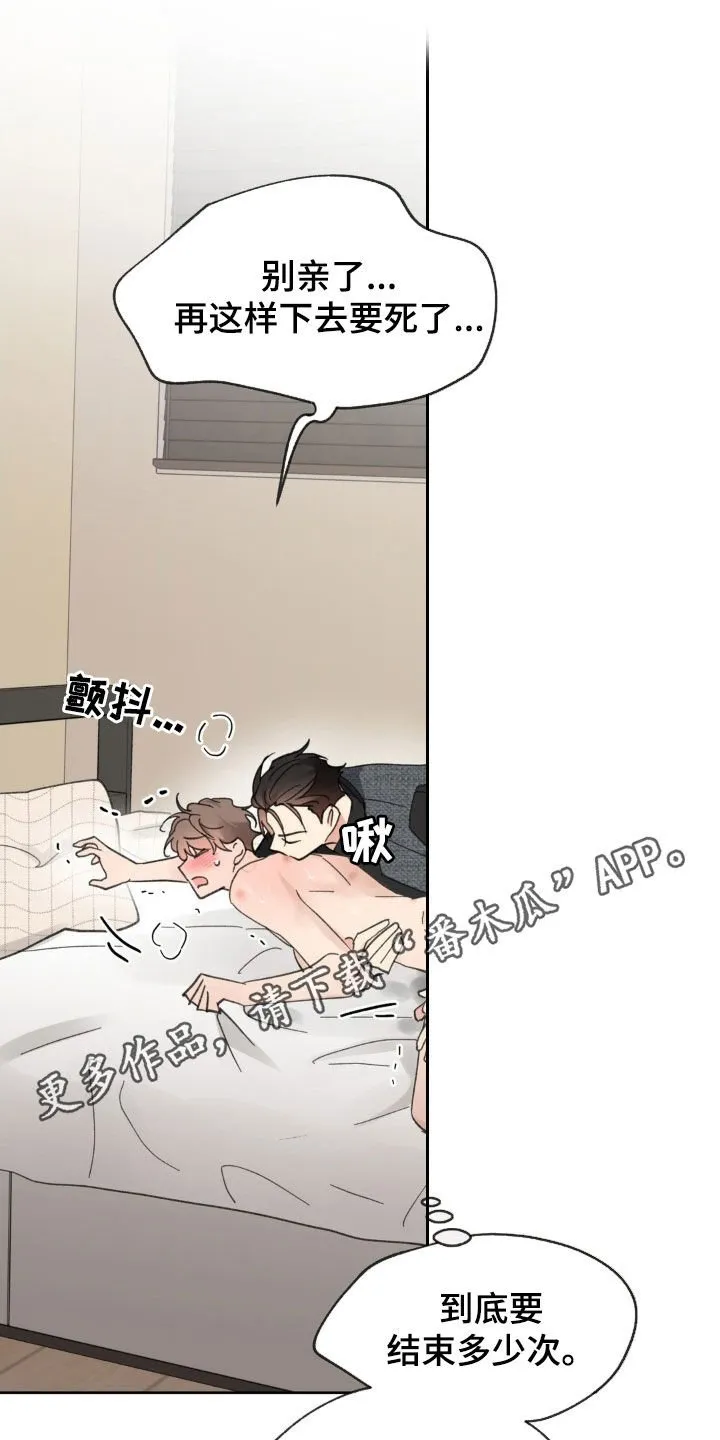 第213章：【番外】现在马上 第1页