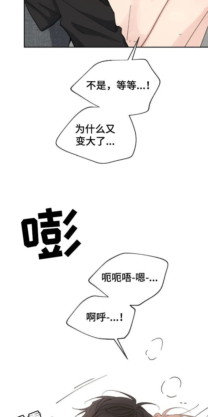 第214章：【番外】太喜欢了 第14页