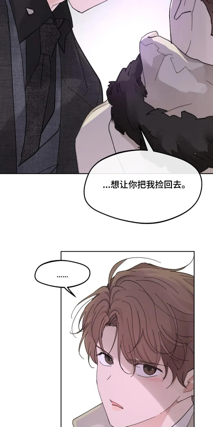 第216章：【番外】盯着 第6页