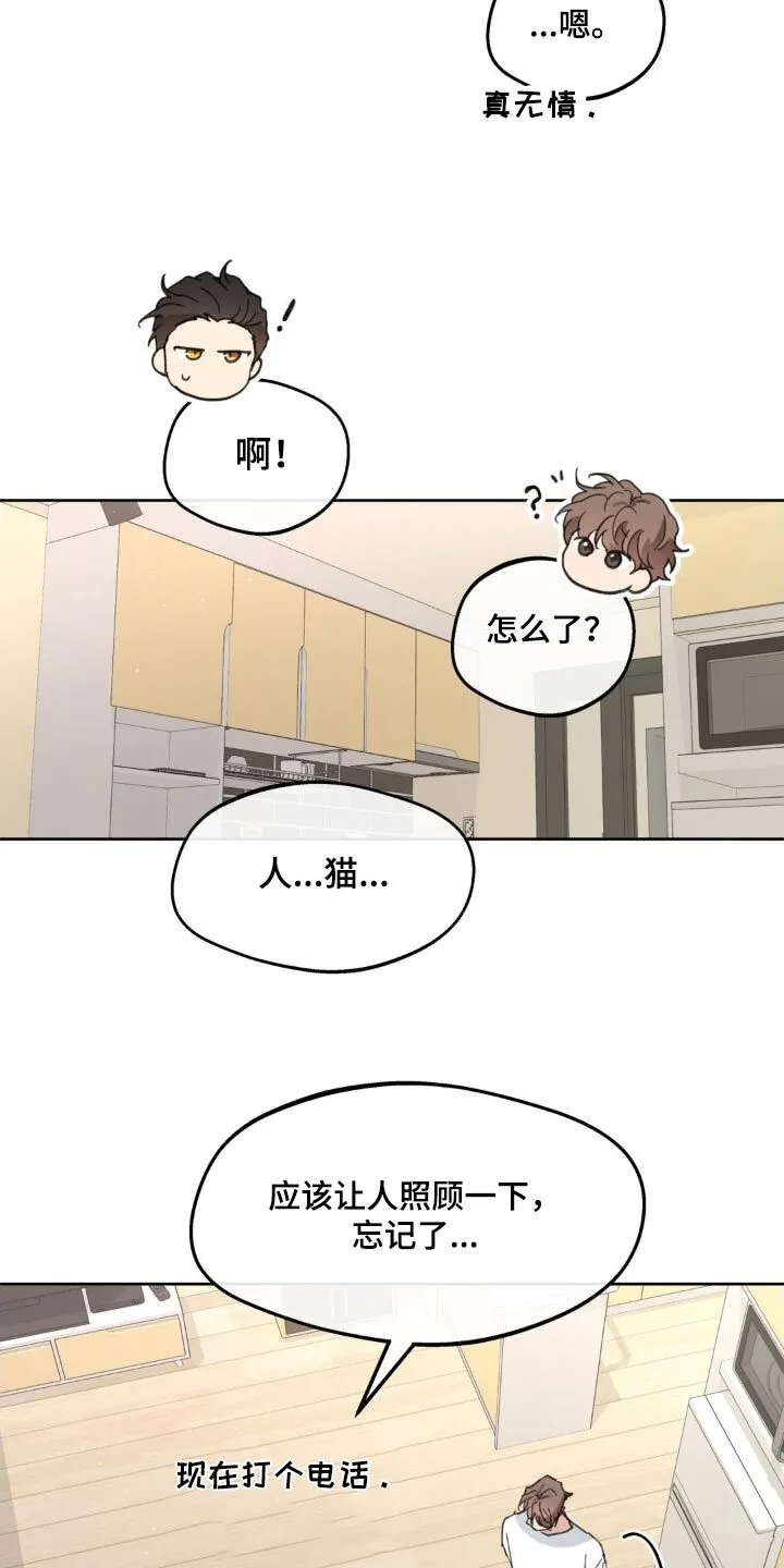 第216章：【番外】盯着 第19页