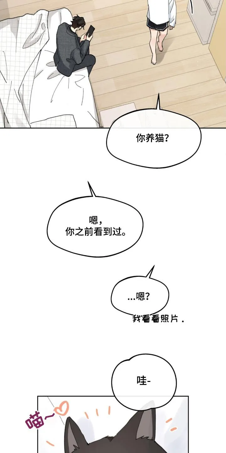 第216章：【番外】盯着 第20页