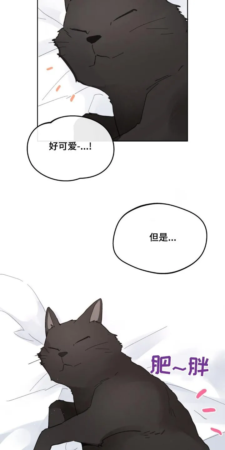 第216章：【番外】盯着 第21页