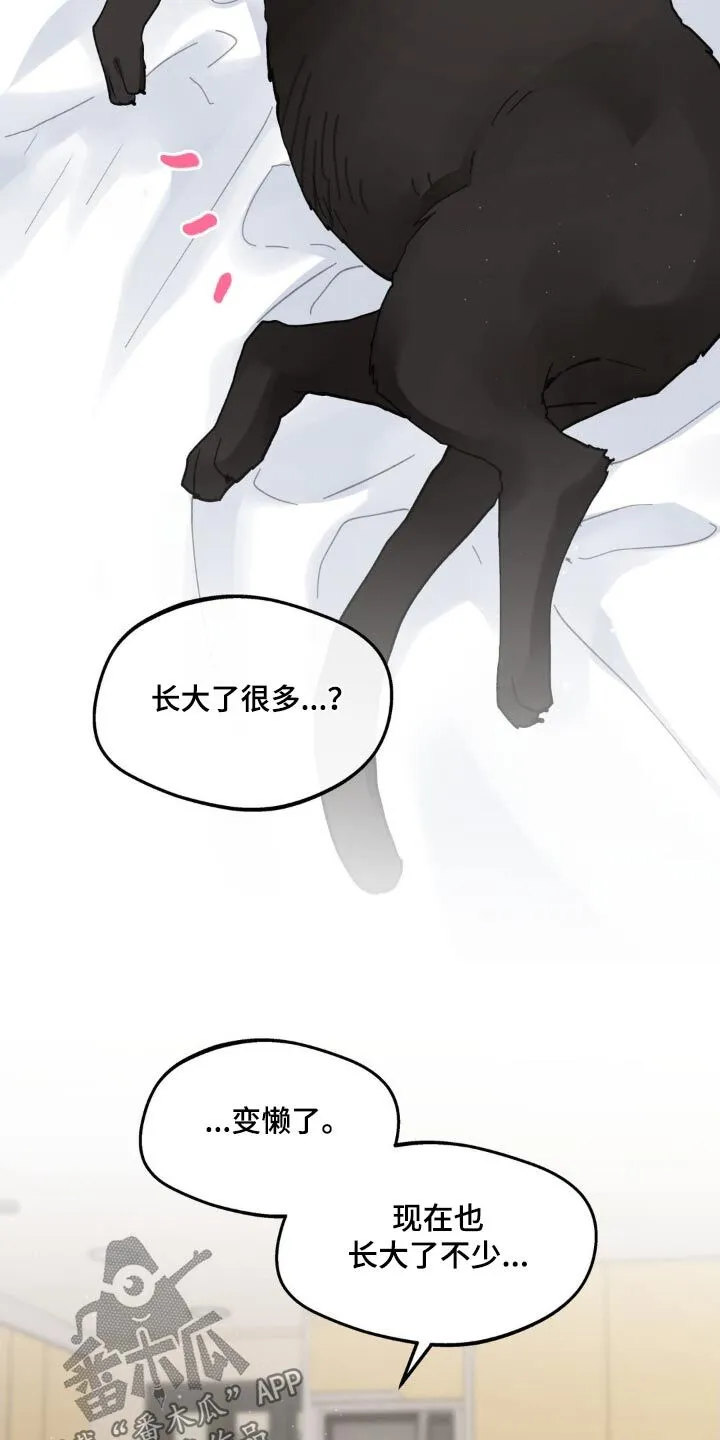 第216章：【番外】盯着 第22页