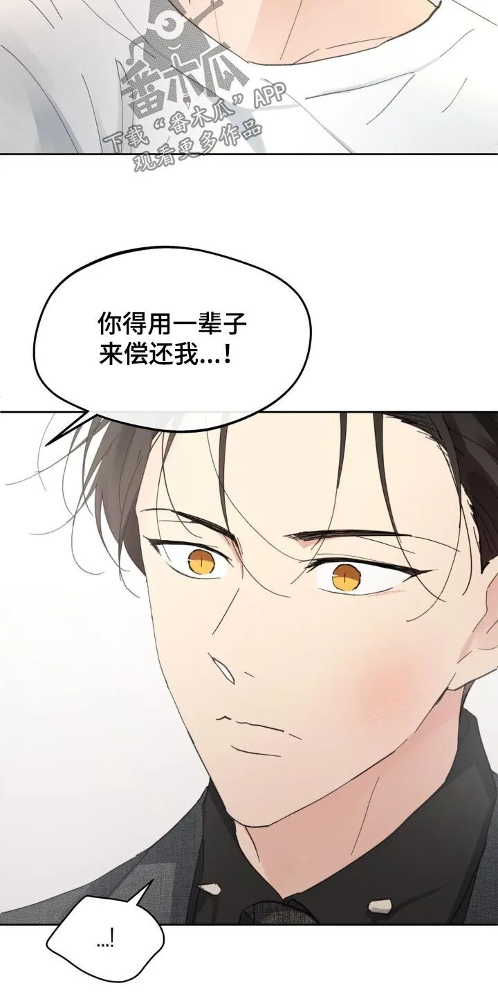 第218章：【番外】偿还 第15页
