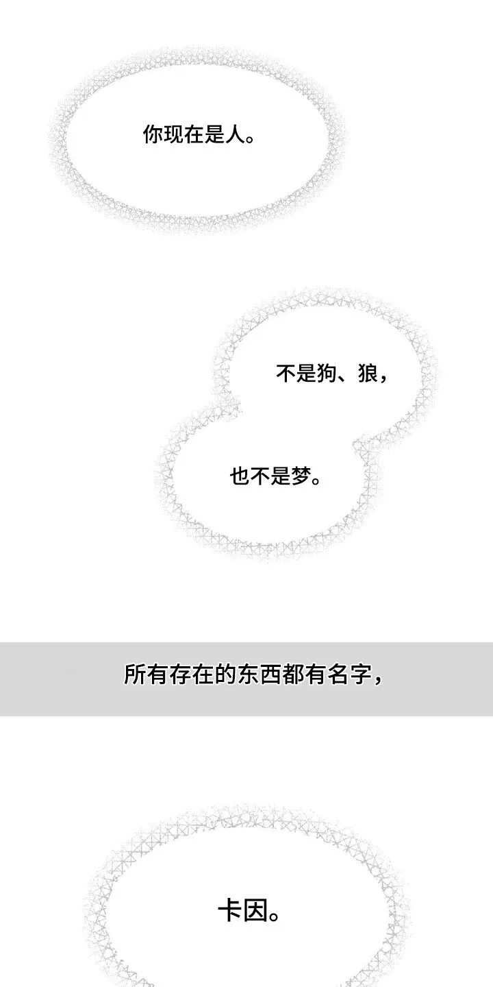第223章：【番外】我的存在 第15页