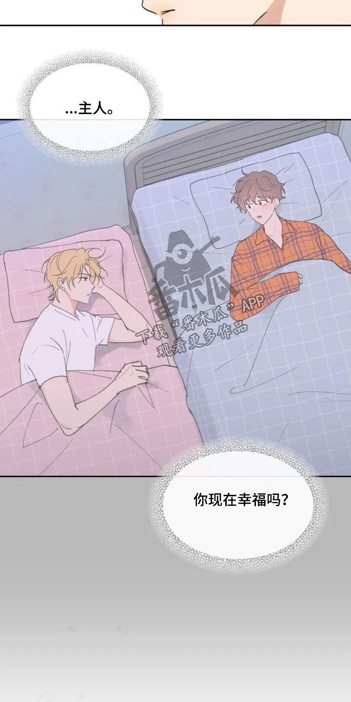 第227章：【番外】幸福 第3页