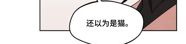 第229章：【番外】通知书 第7页